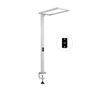 LED Floor Lighting SDF-015X-80W