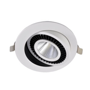 LED Downlight SDR-079