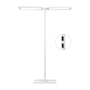 LED Floor Light SDF-015T