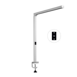 LED Floor Lighting SDF-017X-80W