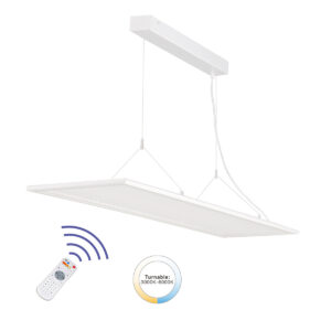 LED Pendant Light SDY-012