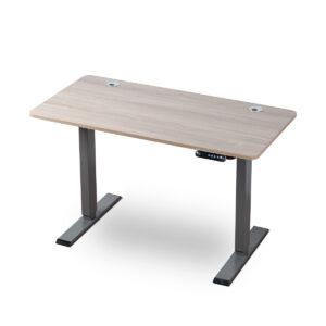 Standing Desk TG450-B